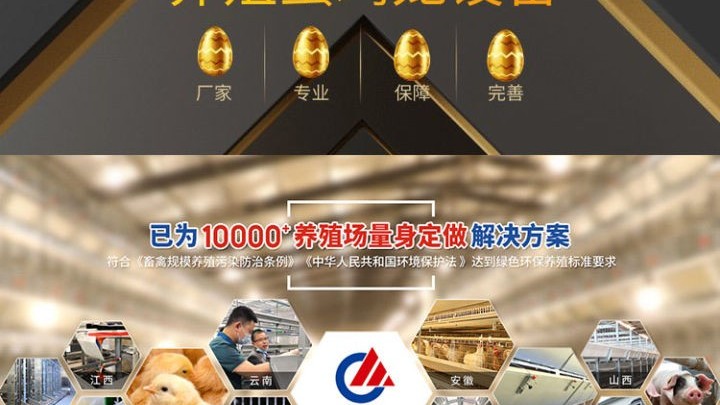 大规模蛋鸡养殖过程中秋季蛋鸡要“进补”，要“补啥”