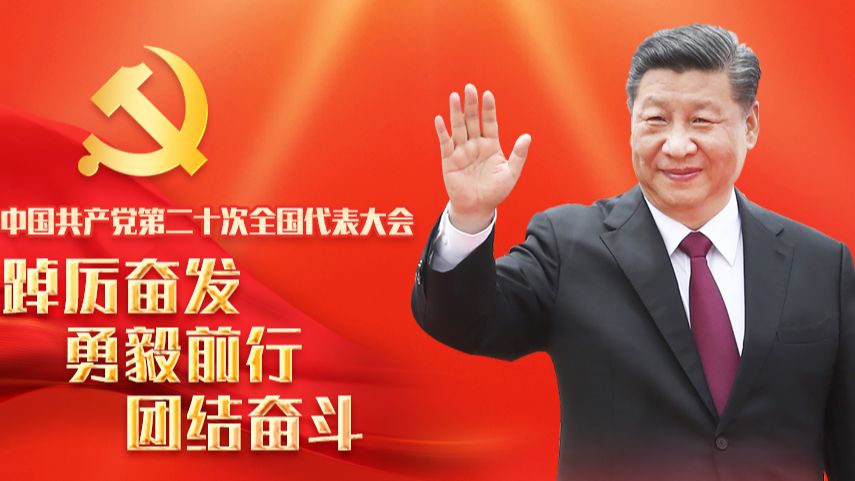 从1到9，学习党的二十大报告