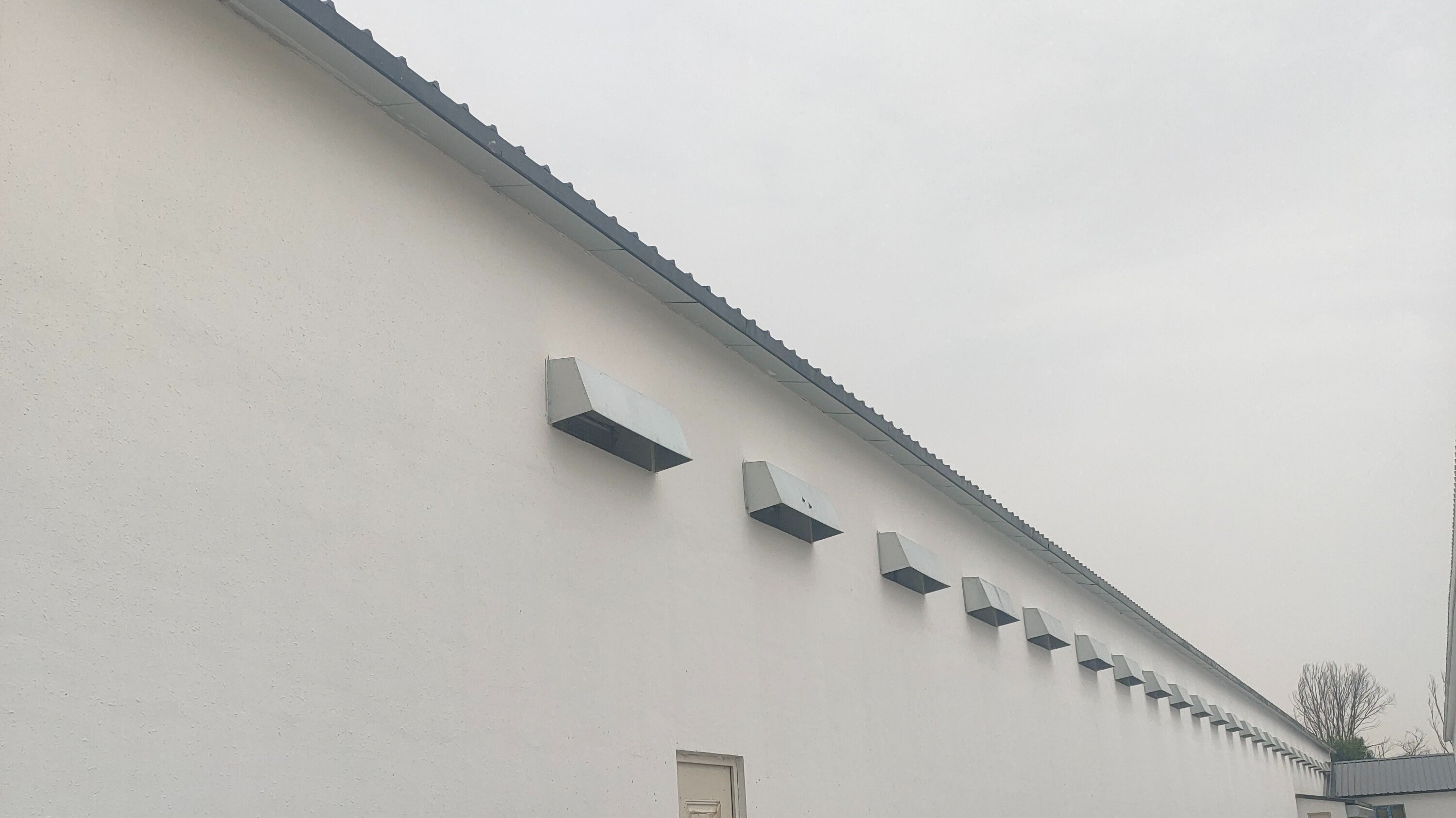 规模化蛋鸡场如何实现降本增效？